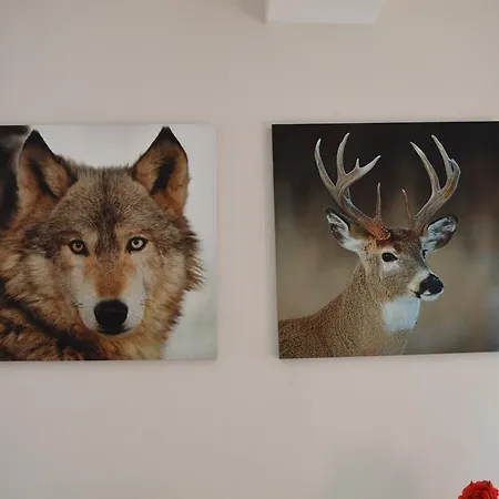 Dom wakacyjny Casa Morena *