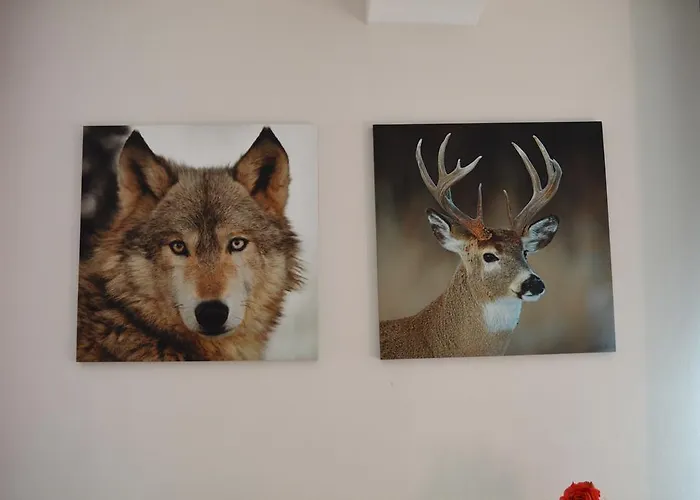 Ferienhaus Casa Morena *